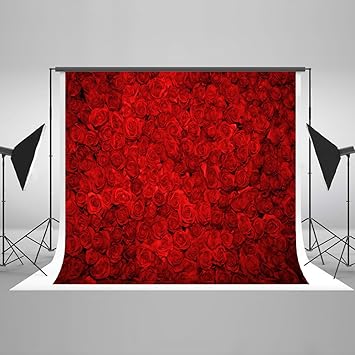 Katehome Photostudios Photographie Toile De Fond Rouge Rose 10 10ft 3 3 M Fleurs De Mariage Photographie Decors Amant Valentine Photographie Contexte Props Pour Studio Amazon Fr High Tech