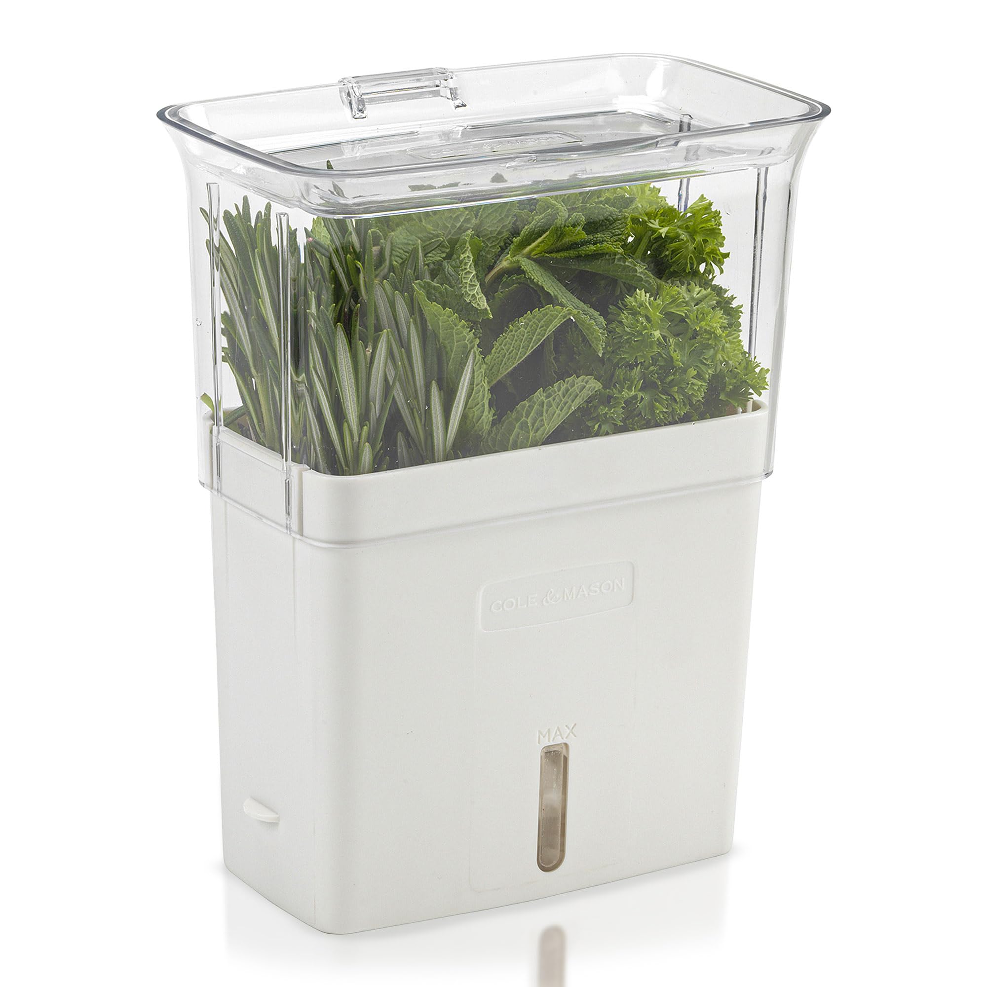 Cole & Mason H105159 Tealby Fresh Cut Herb Keeper, Herb Pot/Storage/Herb Saver/Box, Acrylic, Includes Removable Dividers, 2 Year Guarantee,White/Clear (H) 230mm x (W) 185mm x (D) 120mm