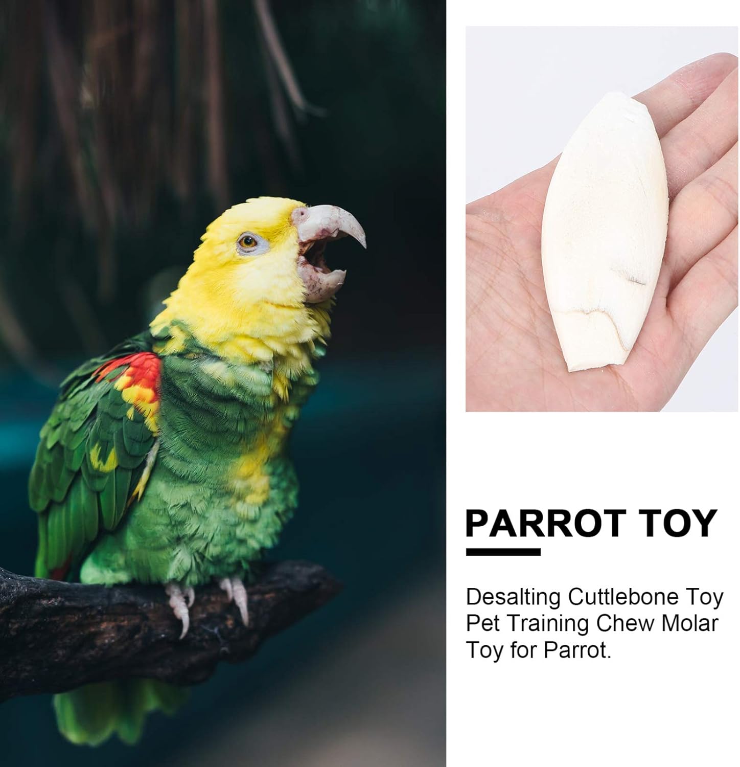 Iplusmile Natural 12pcs 10cm Conur Macaw Cockatiel Parakeets For Cuttlebone Bird Bone Cuttlefish Chewing Toys Chew Parrot Bone Cuddle Toys Birds Up To 70 Off Www Klevering Com