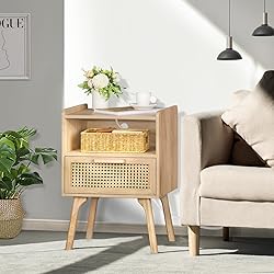 Lerliuo Rattan Nightstands Set of 2 with Charging