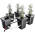 RDWC Hydroponics Grow System 4 Site + Reservoir, 7-Gallon Top Drip Recirculating Deep Water Culture Hydroponic Bucket System, Hydroponics Growing System Kit with Water Pump, Air Pump