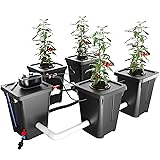 RDWC Hydroponics Grow System 4 Site