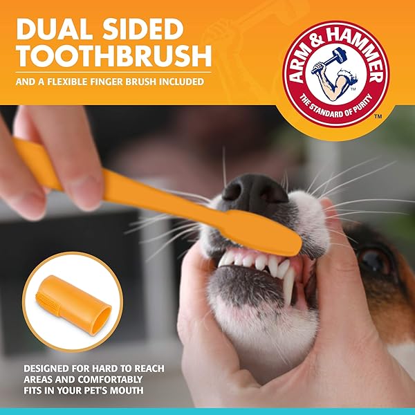 ARM & HAMMER FOR PETS FRESH BREATH ENZYMATIC DOG DENTAL CARE KIT – INCLUDES DOG TOOTHPASTE, DUAL SIDED TOOTHBRUSH AND FINGERBRUSH – BAD BREATH TREATMENT, CHICKEN FLAVOR, 2.5 OUNCE
