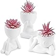 Der Rose 3 Pcs Fake Succulents Plants Artificial Pink Room Office Desk Decor for Women