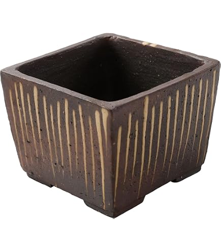 Amazon.com : Wazakura Tokoname Series Small Handmade Rectangular