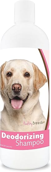 best shampoo for black labs