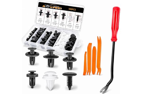 AOLYGEI 100Pcs Car Body Trim Clips,Plastic Rivets, 6 Popular Sizes of Bumper Clip, Universal Plastic Nylon Clips for Door Bum