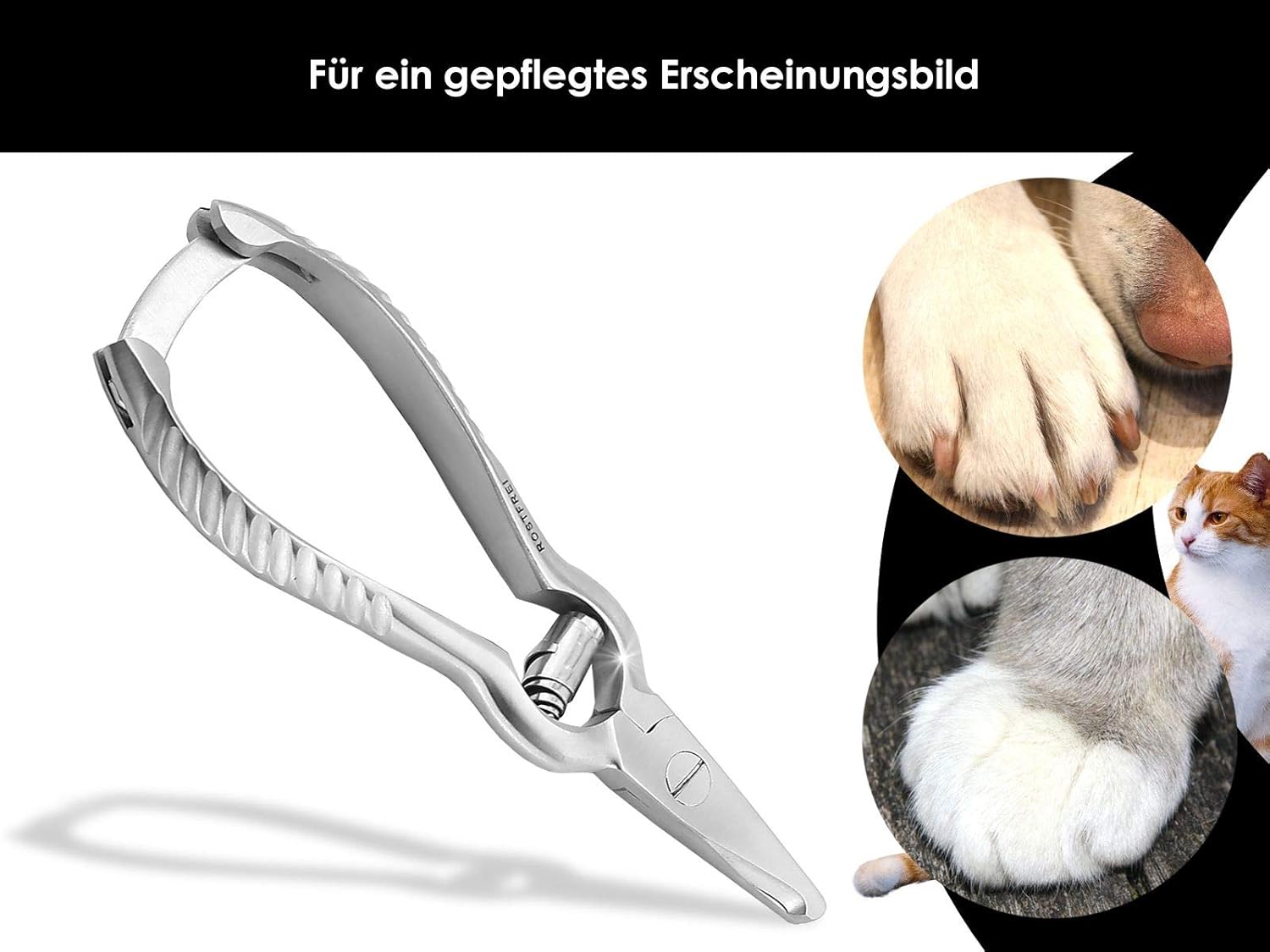 Best Claw Clippers for Dogs