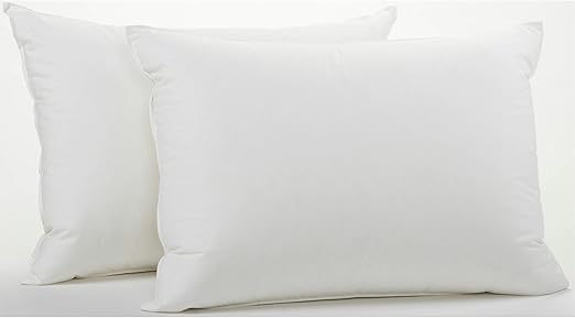 Amazon Com 2 Queen Size White Goose Down And Goose Feather