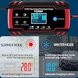 PROFIKLA 12V/24V 8A Smart Battery Charger with Repair Mode view 5