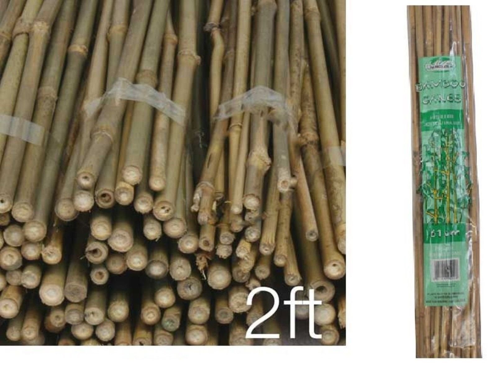 Home & Garden Wholesale & Job Lots 2ft Pack of 60 Wooden Natural Bamboo