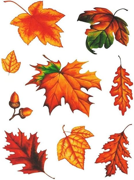 Amazon De Rw Fensterbild Set 9 Teilig Herbst Blatter Laub Blatt Eicheln Statisch Selbsthaftend