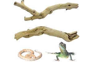 Apatal Reptile Branch Decor 2 Pack Snake Climbing Wood Branches Lizard Habitat Decorations Terrarium Natural Forest Tree Trunk Ornament for Bearded Dragon Geckos Chameleon Frog