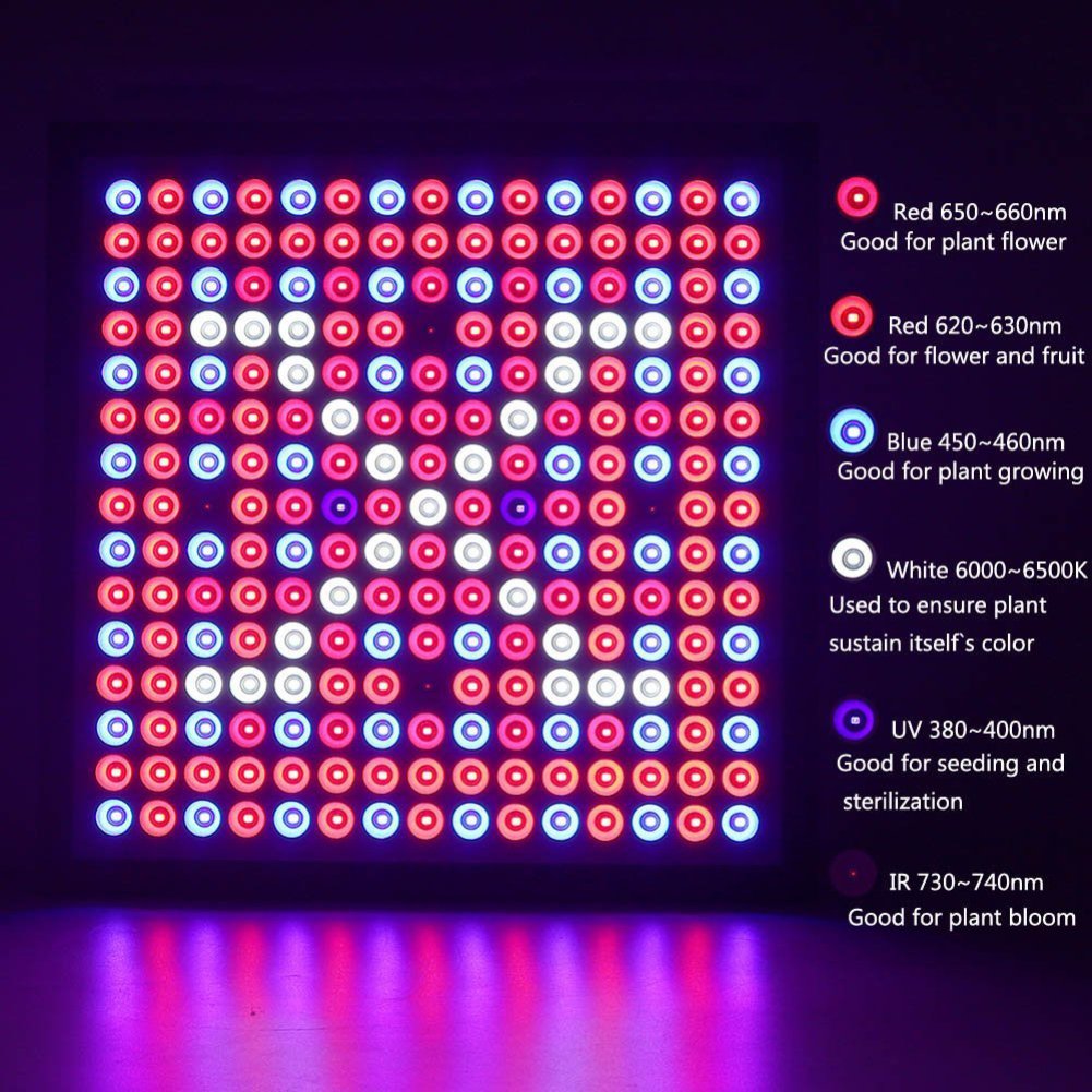 HXSS Reflektor 45w wachsen für Innenanlagen Aussaat wachsenden und