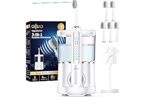 OILSAO Electric Toothbrush with Water Flosser Combo in One, Professional Flossing Toothbrush for Teeth Cleaning and Flossing, Plaque Removal,Rechargeable,with 5 Replacement Brush Heads