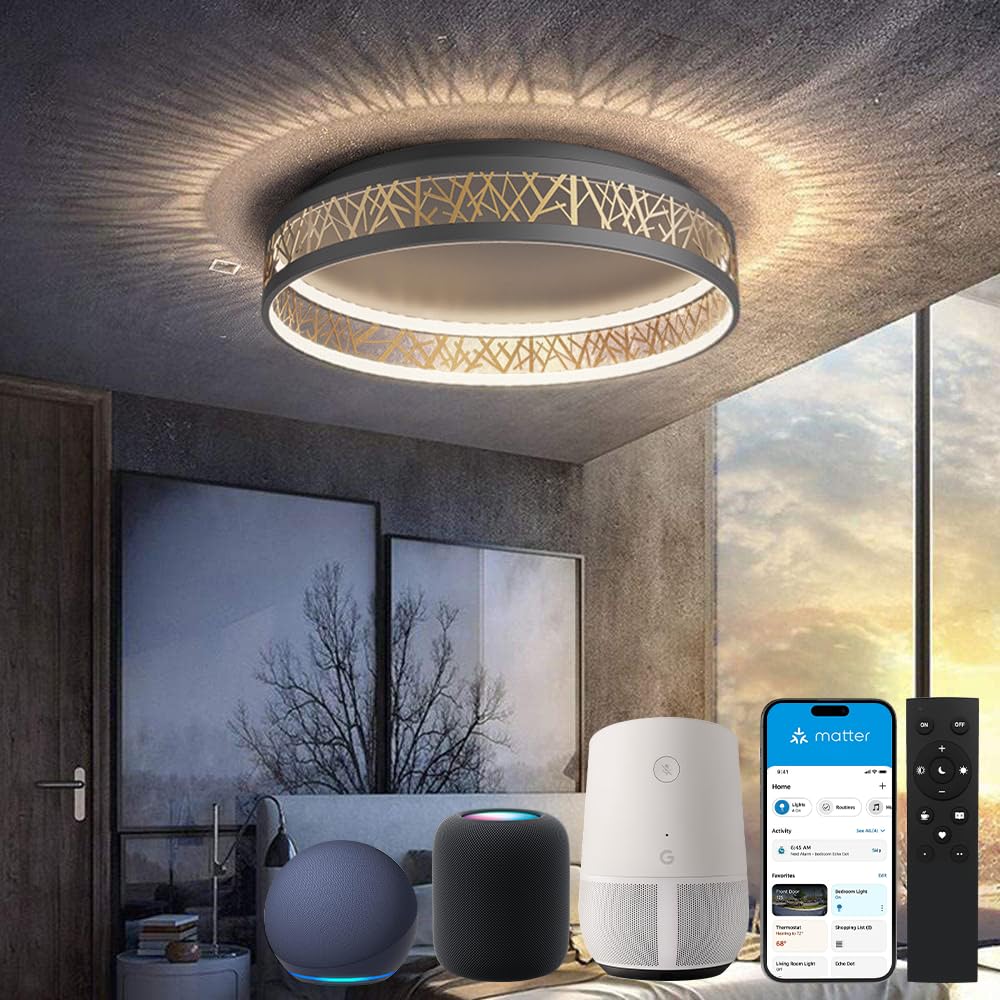 Yuanfenghua LED Deckenleuchte Mit Fernbedienung, Dimmbar Schlafzimmer Lampe with Matter Kompatibel Mit Alexa,HomeKit,Google and eWeLink APP, Rund Schwarz Gold Aushöhlen Design Wohnzimmer Ø50×H12CM