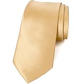 Spring Notion Men's Solid Color Satin Microfiber Tie, Regular and Skinny Width