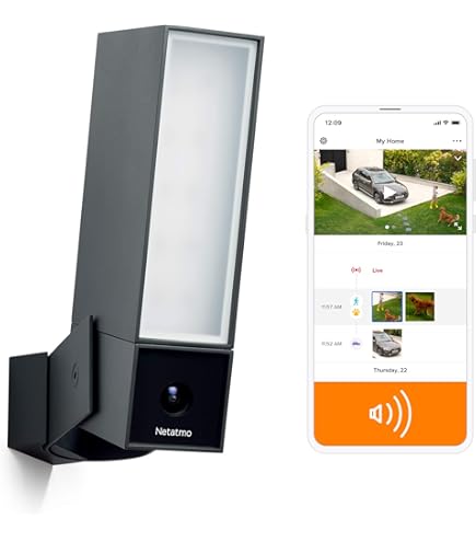 Amazon.com: Pass & Seymour Netatmo c Camera, WiFi