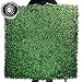 Ranka Lasting Greenery Artificial Boxwood Panels - Dark Green 6 Pack of 40x40 inch Panels (Covering 64.5 sqft.)