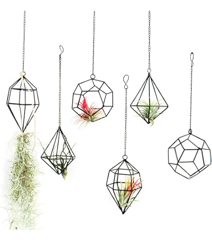 Supports Pour Tillandsia (plantes Aériennes) - Lot De 4, Design Géométrique En Métal Noir, Déco Moderne