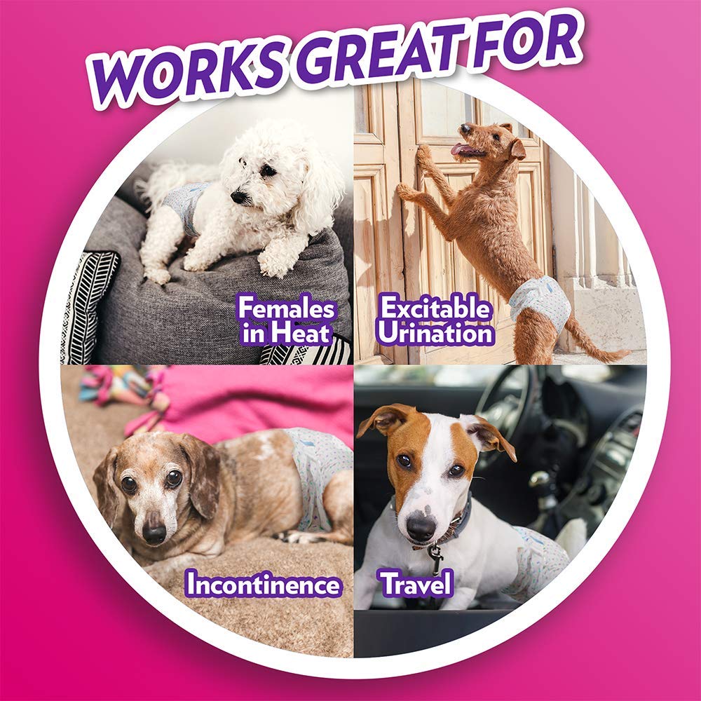 waterproof dog nappies