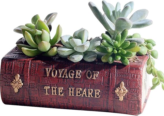 Amazon Com L S 复古文学书花盆多肉植物盆景搭配树脂摆件个性diy Home Kitchen