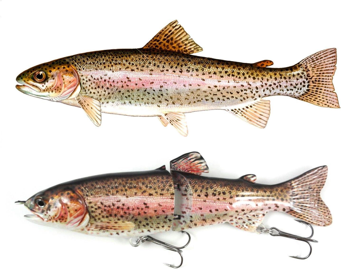 Amazon N 7 " Rainbow Trout Glide Bait/Swimbaitバス釣りルアー 不明 ルアー