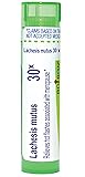 Lachesis Mutus 30X