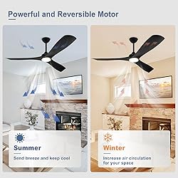 BvenuBigLite Black Ceiling Fan with Light: 3 Blades