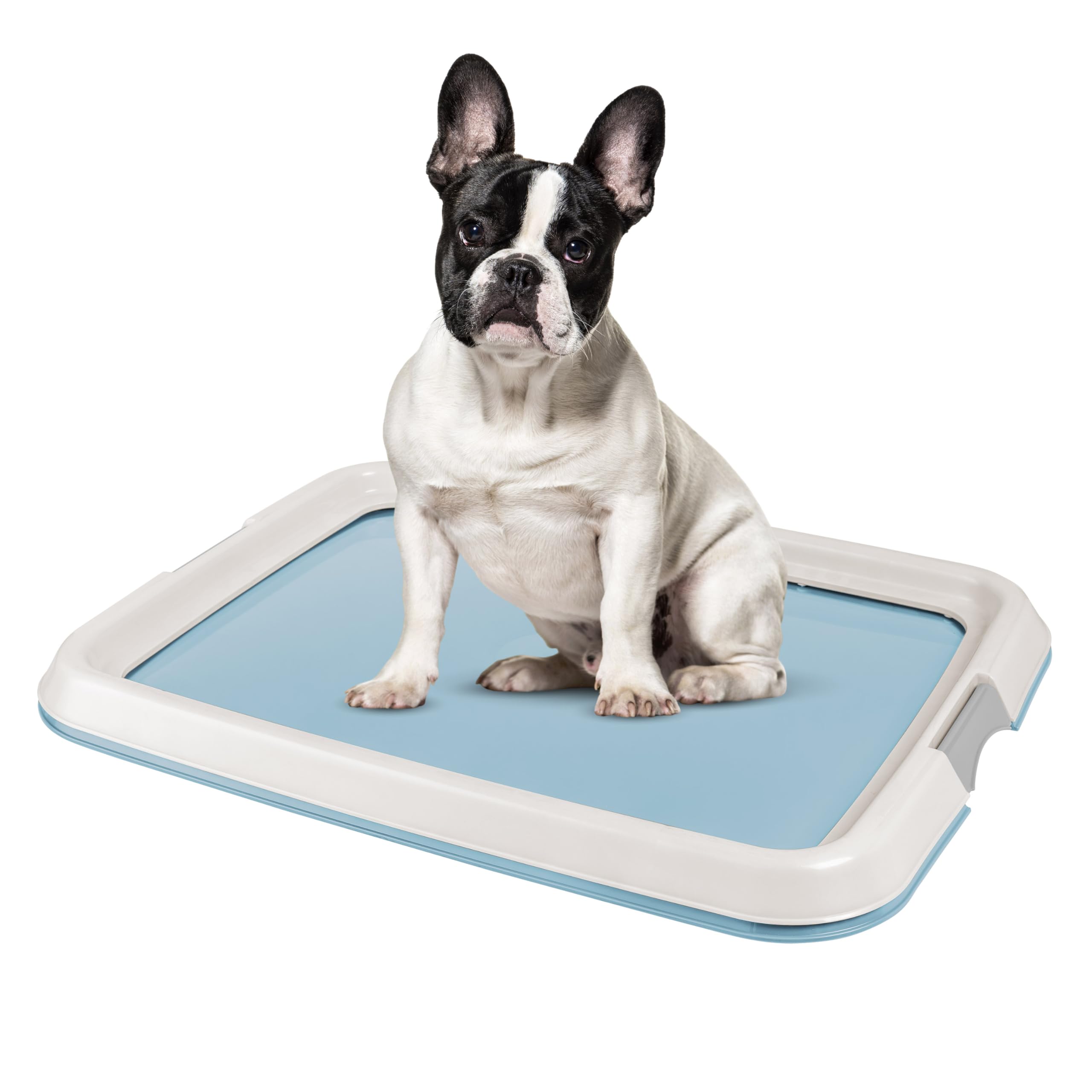 Pad Holder Pee Pads Petco Puppy Pee Pad Tray Skywn Dog Puppy Pad