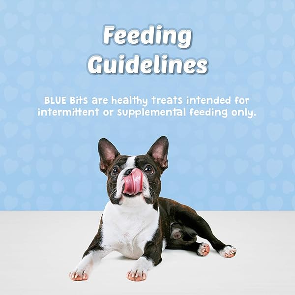 BLUE BUFFALO BITS SOFT DOG TREATS FOR TRAINING, MADE WITH NATURAL INGREDIENTS & ENHANCED WITH DHA, SALMON RECIPE, 4-OZ BAG