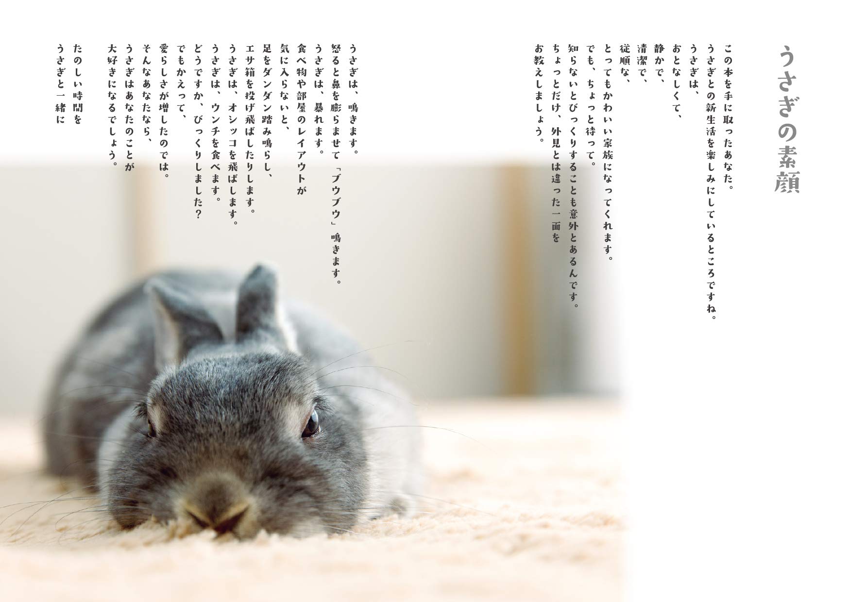 うさぎとはじめる新生活 高見 義紀 うさぎとはじめる新生活編集部 本 通販 Amazon