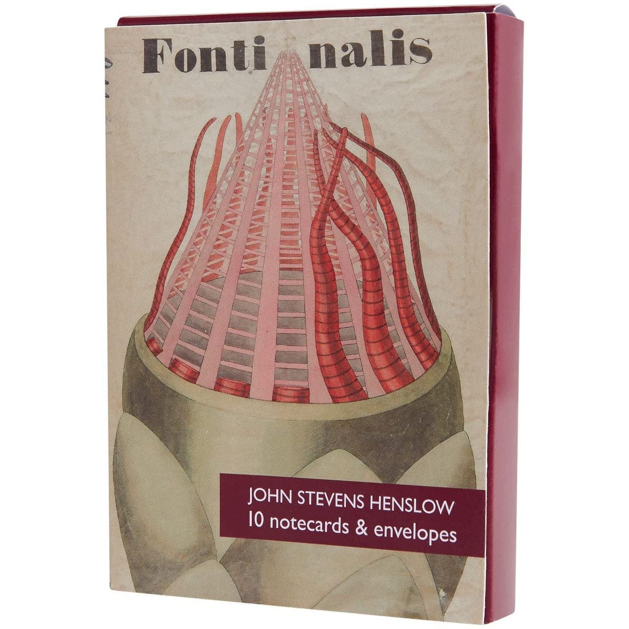 Fitzwilliam Museum John Stevens Henslow Curating Notecard Blank Pack of Greeting Cards University of Cambridge (2 Each of 5 Designs) (Fonti-Nalis)