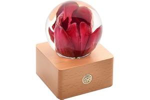 MISS LI GARDEN Forever Flowers Red Tulip in 3D Crystal Ball Elegant Present for Girlfriend Wife Mom Women Enchanted Birthday Anniversary Wedding Home Decor