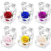 LemonRoad 6 Pcs Eternal Rose in Clear Box Valentine's Day Preserved Mini Flower Gifts in Ring Box Anniversary Mother's Day Birthday Real Flower Gifts for Women Mom Wife Girlfriend