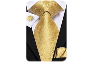 Hi-Tie Mens Plaid Ties Classic Paisley Necktie with Handkerchief Cufflinks Set Business Stripe Tie