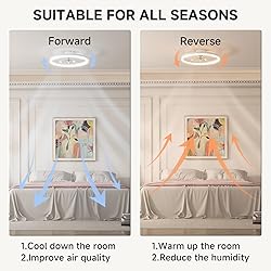 VOLISUN Low Profile Ceiling Fans with Light and