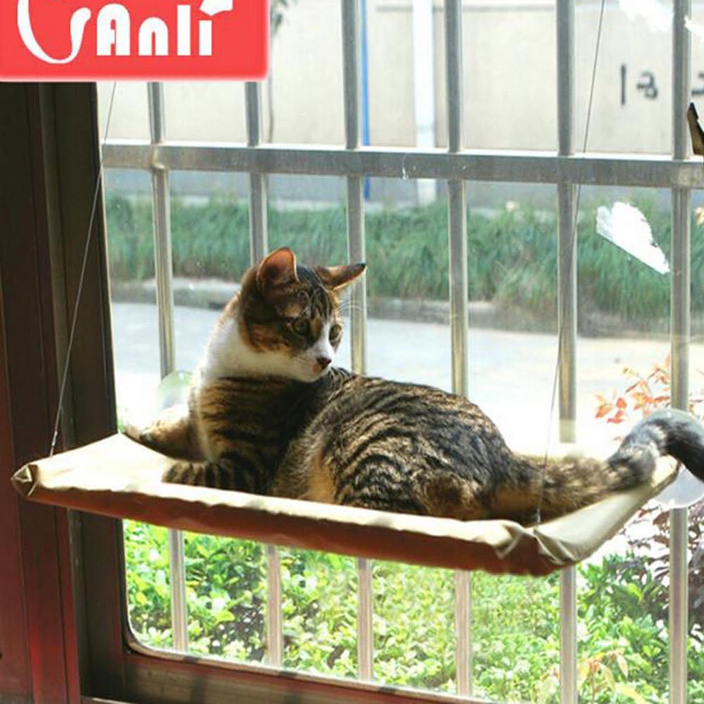 Cube Market Pet Shop Sunny Seat Window Mounted Cat Bed up to 50lb Cat Bed Sun Bed Hammock