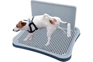 BESTMAN MARINE Pee Pad Holder,Dog Potty Tray with Splash Guard,Indoor Potty for Small and Medium Dogs, Waterproof and Easy to Disassembly and Cleaning Dog Toilet