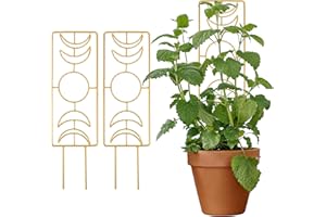 QCQHDU 2 Pack Metal Plant Trellis for Climbing Plants Indoor,14 Inch Garden Small Trellis for Potted Plants,Moon Phase Houseplant Trellis for Pothos Monstera(Gold)