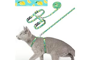 azuza Cat Harness and Leash Set for Safe Walking and Travel, Escape Proof Cat Harness, Lightweight Soft and Comfortable, Adjustable Kitten Harness for Small Medium Large Cats, Lemon