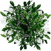 GlobalRose 60 Stems Fresh Fillers -30 Stems of Baby's Breath and 30 Stems of Ruscus- Fresh Flower Delivery for Baby Shower