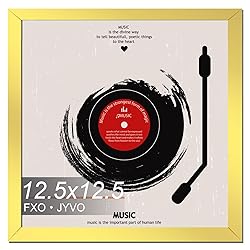 Fxojyvo Vinyl Record Frame for the Wall Display