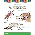 Veterinary Anatomy Coloring Book