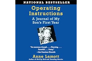 Operating Instructions: A Journal of My Son's First Year