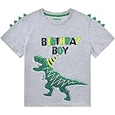 Dinosaur Birthday Boy T-Shirt - B-Day Dino Party T-Rex Top - Cotton Toddler Tee - Gray Short Sleeve Outfit