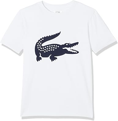 lacoste t shirt sport