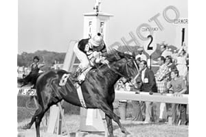 SPORTSPHOTOSUSA Seattle Slew 1977 Triple Crown Horse Race Champion Jean Cruguet 8x10 Photo