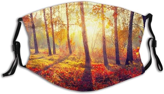 Amazon.com: DBUQOP Autumn Fall Autumnal Park Autumn Trees and Leaves in