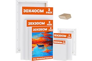 Koncci Stretched Canvas, 10 Packs- 4x6, 6x8, 8x10, 10x12, 12x16 Inch, 280GSM Stretched Wooden Canvas Frames for Acrylic Oil W
